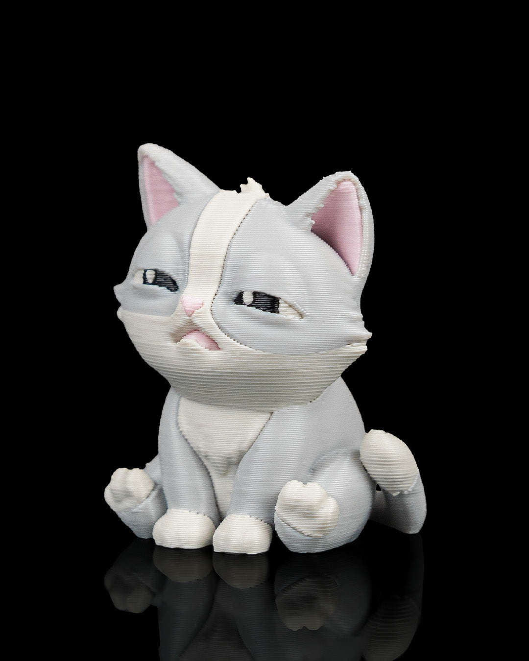 Fine Cat