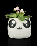 Bloop Face - Planter