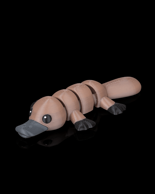 Calm Platypus