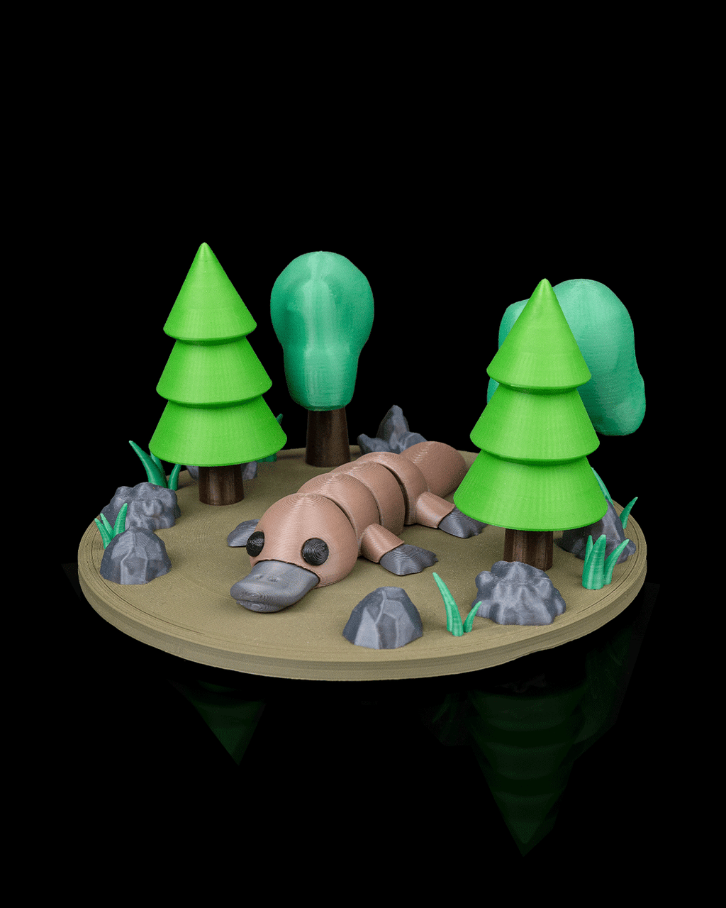 Forest Habitat