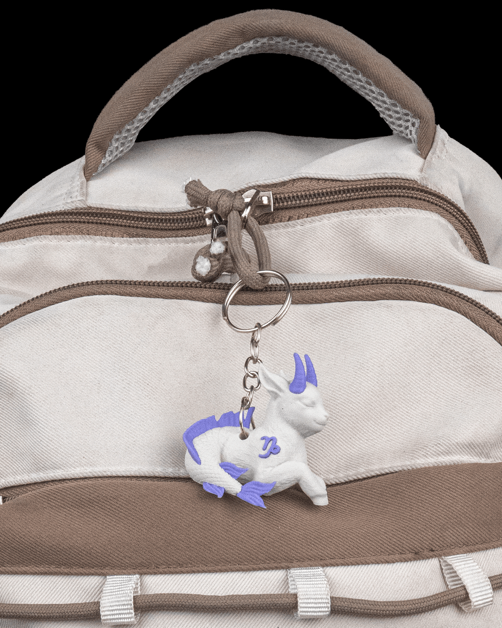 Capricorn Charm