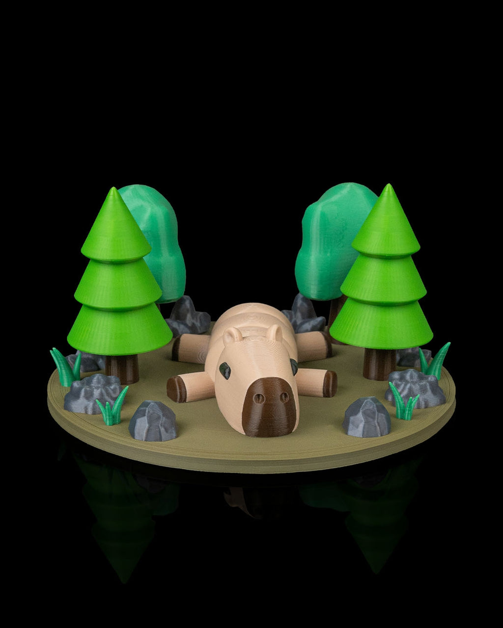 Forest Habitat