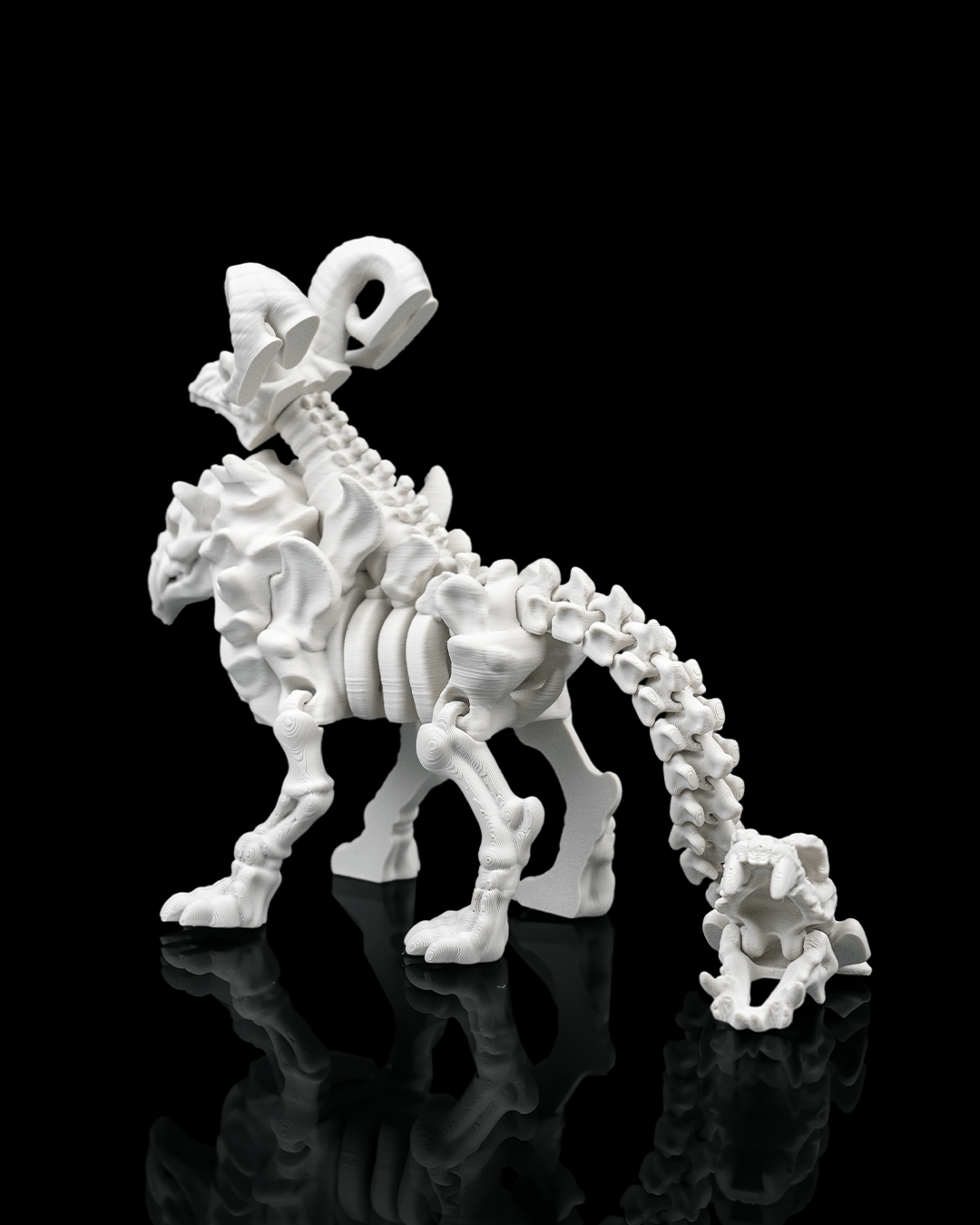 Chimera Skeleton