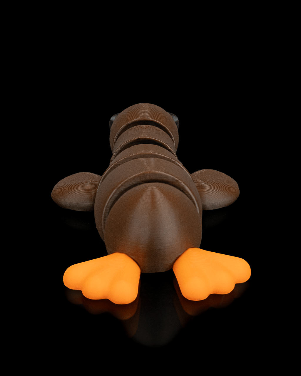 Duck Still