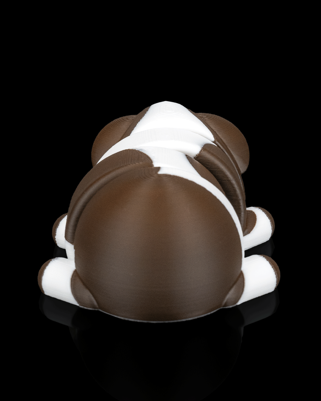 Guinea Pig in Field Nest