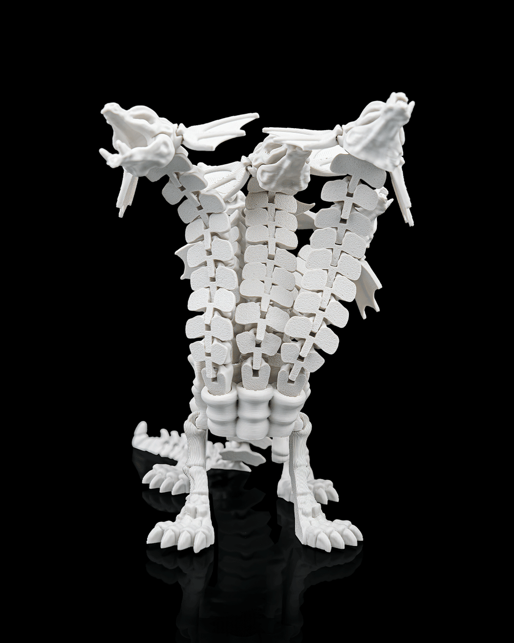 Hydra Skeleton