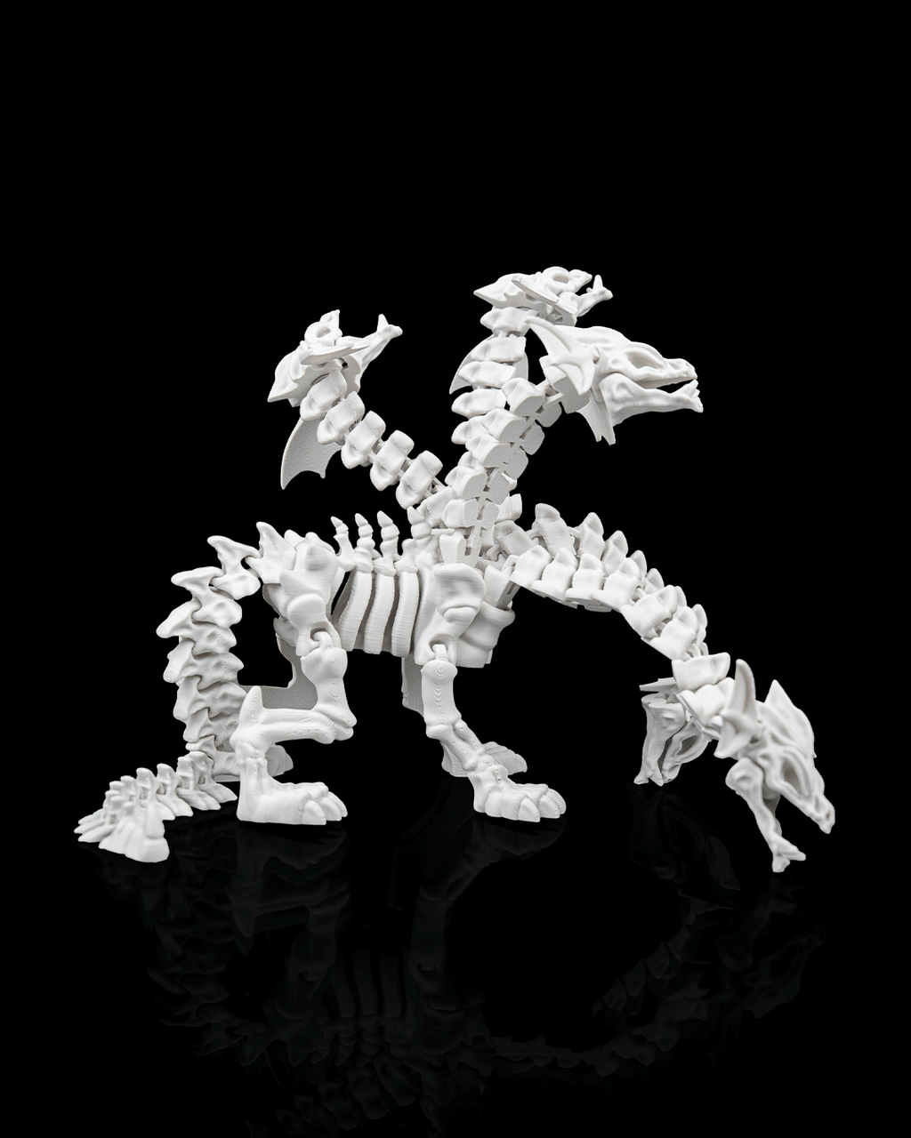Hydra Skeleton