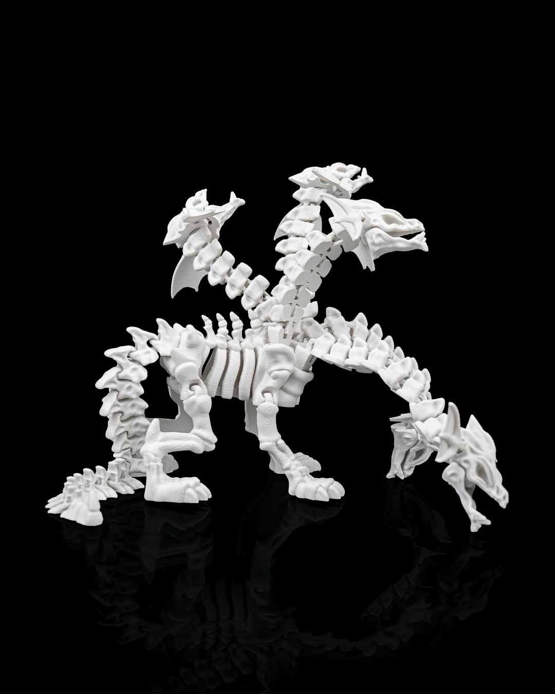 Hydra Skeleton