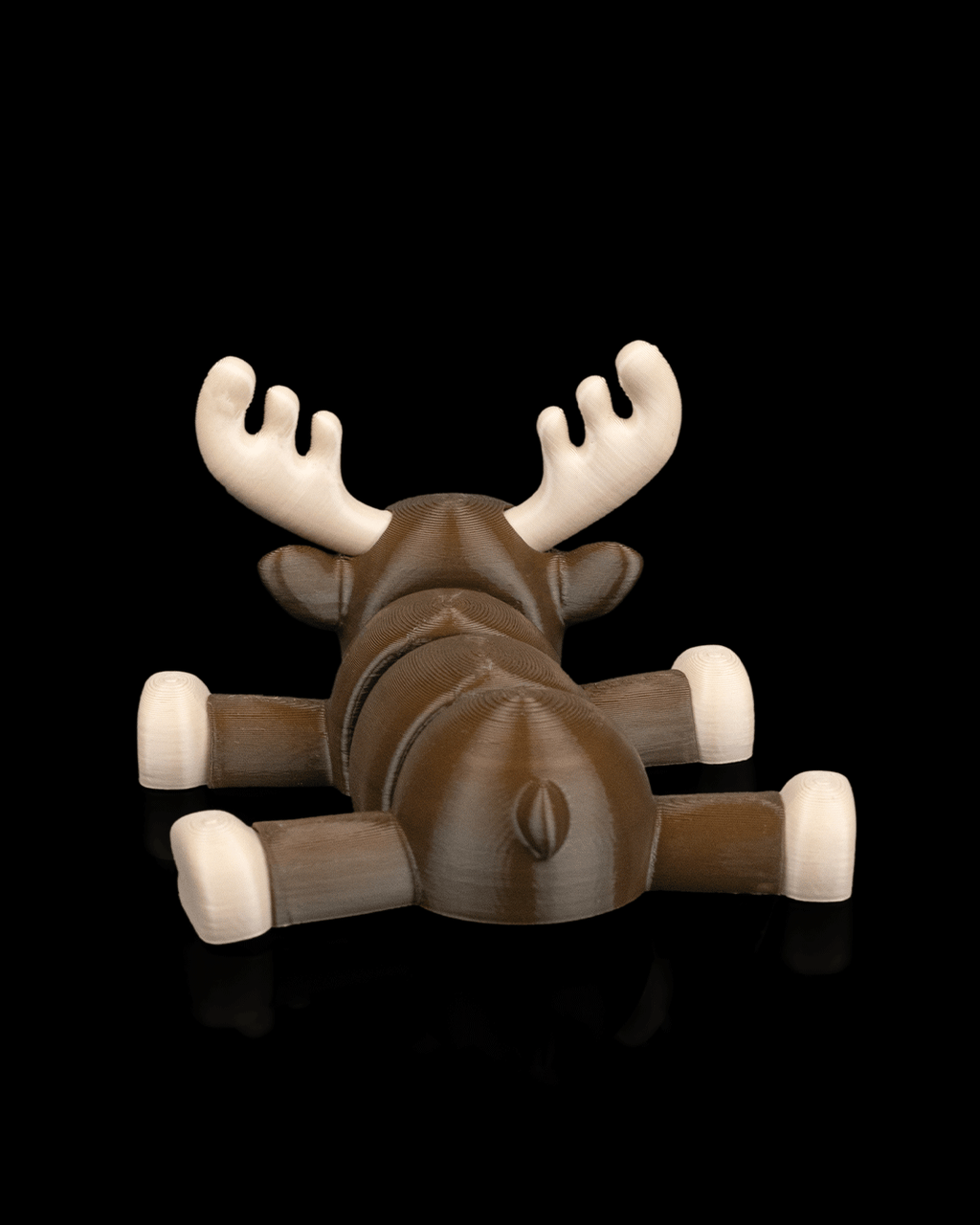 Moose Settle