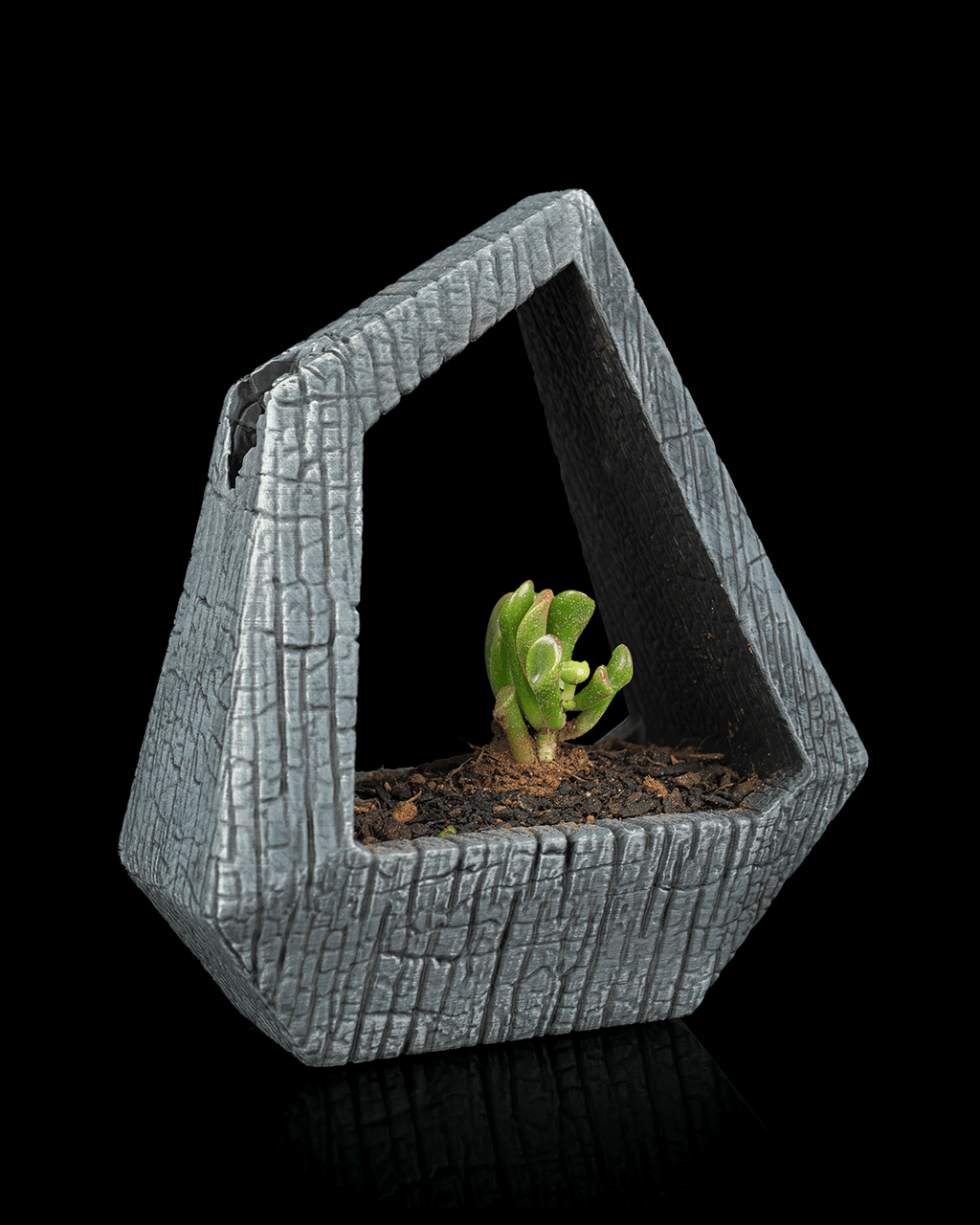 Obsidian Frame - Self-Watering Planter