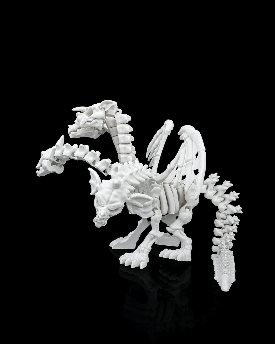 Pentadragon Skeleton