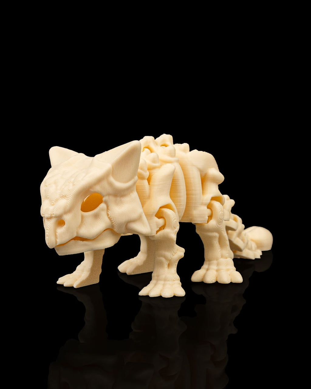 Skeleton Ankylosaurus