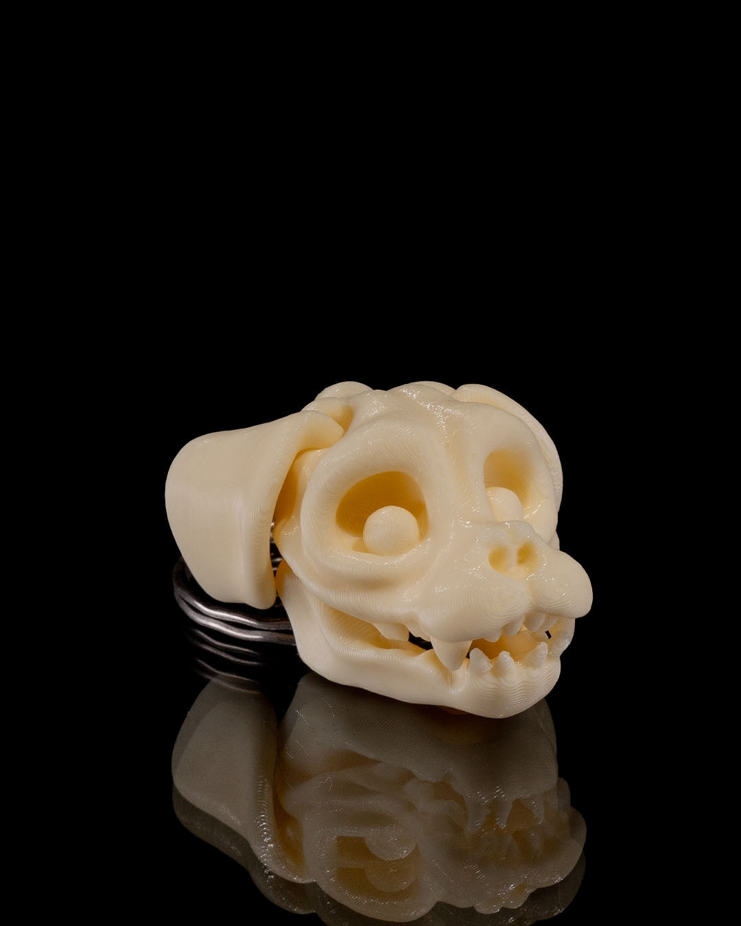Skeleton Chameleon