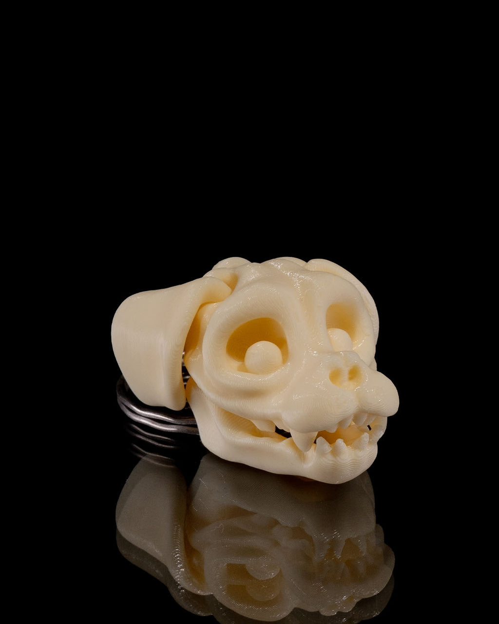 Skeleton Chameleon