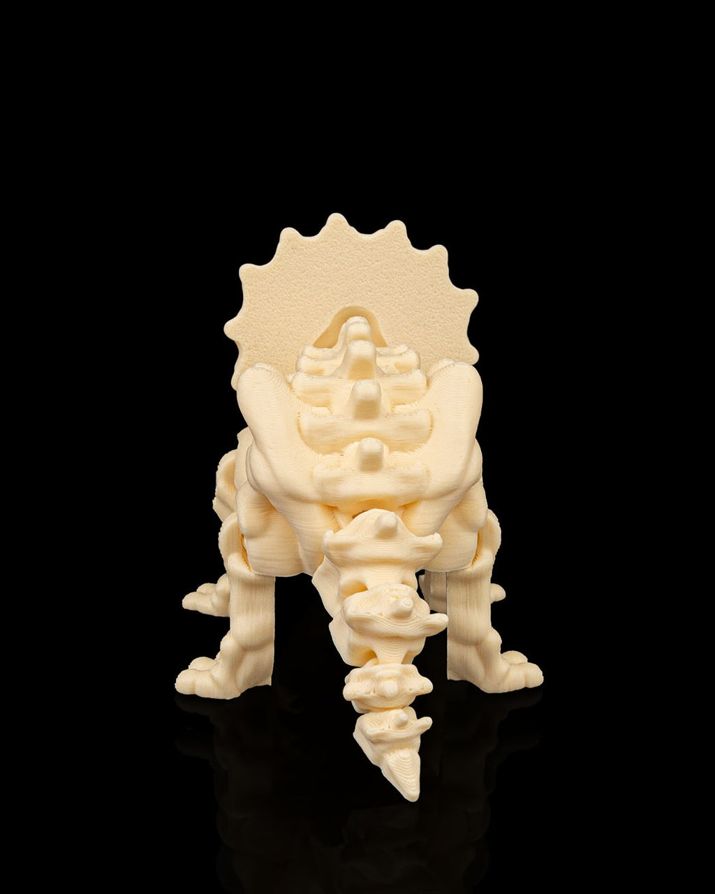 Skeleton Triceratops