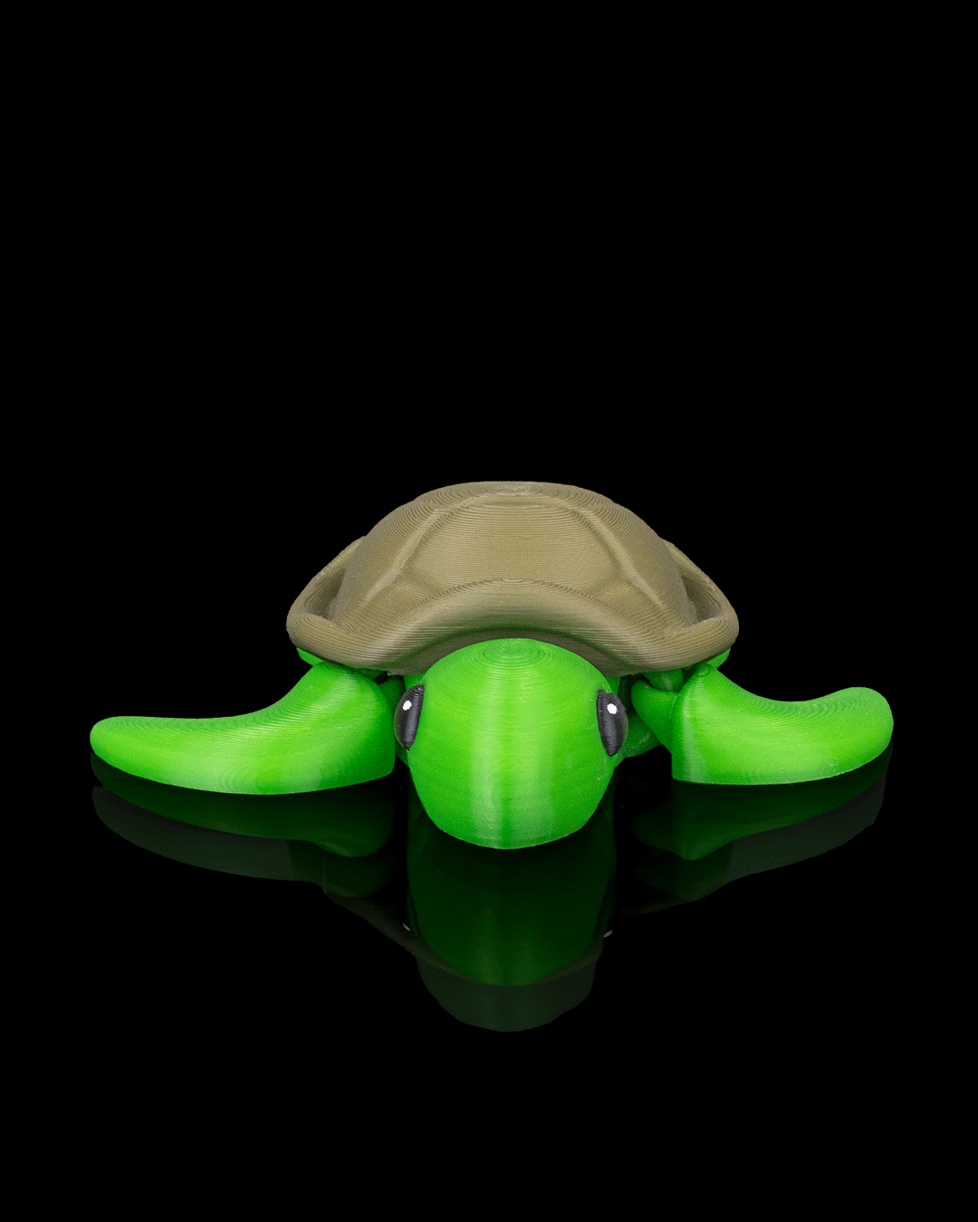 Slow Turtle