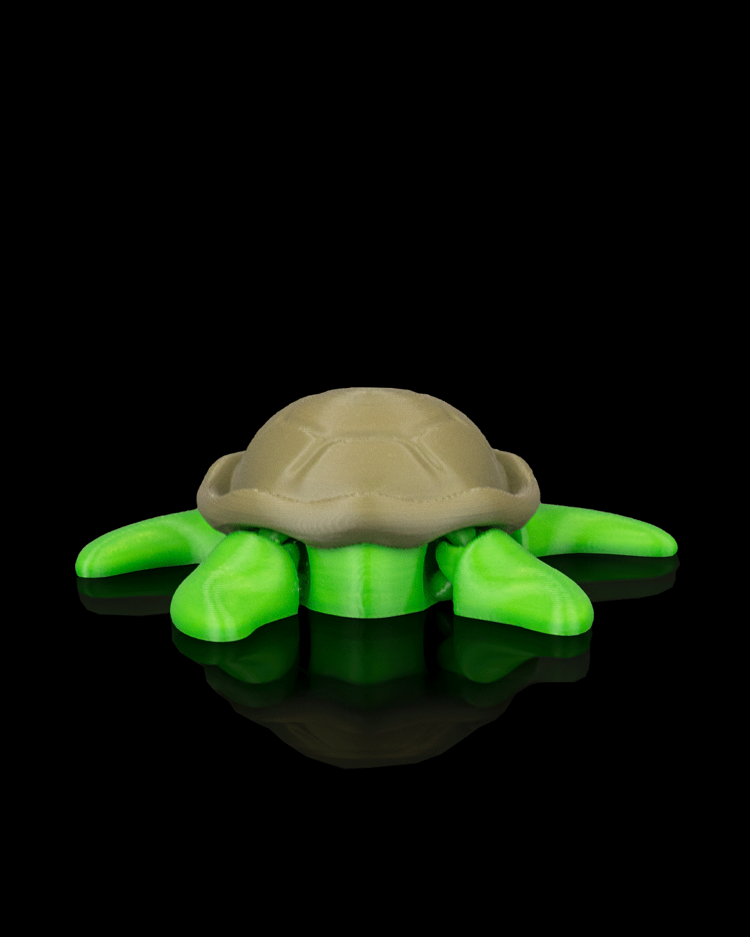Slow Turtle