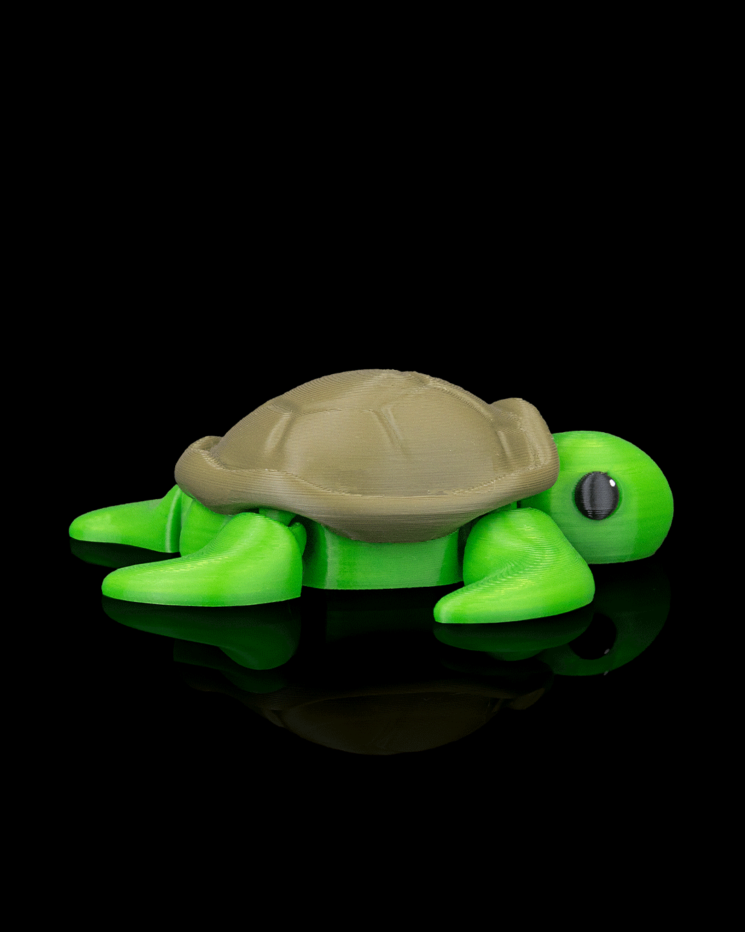Slow Turtle
