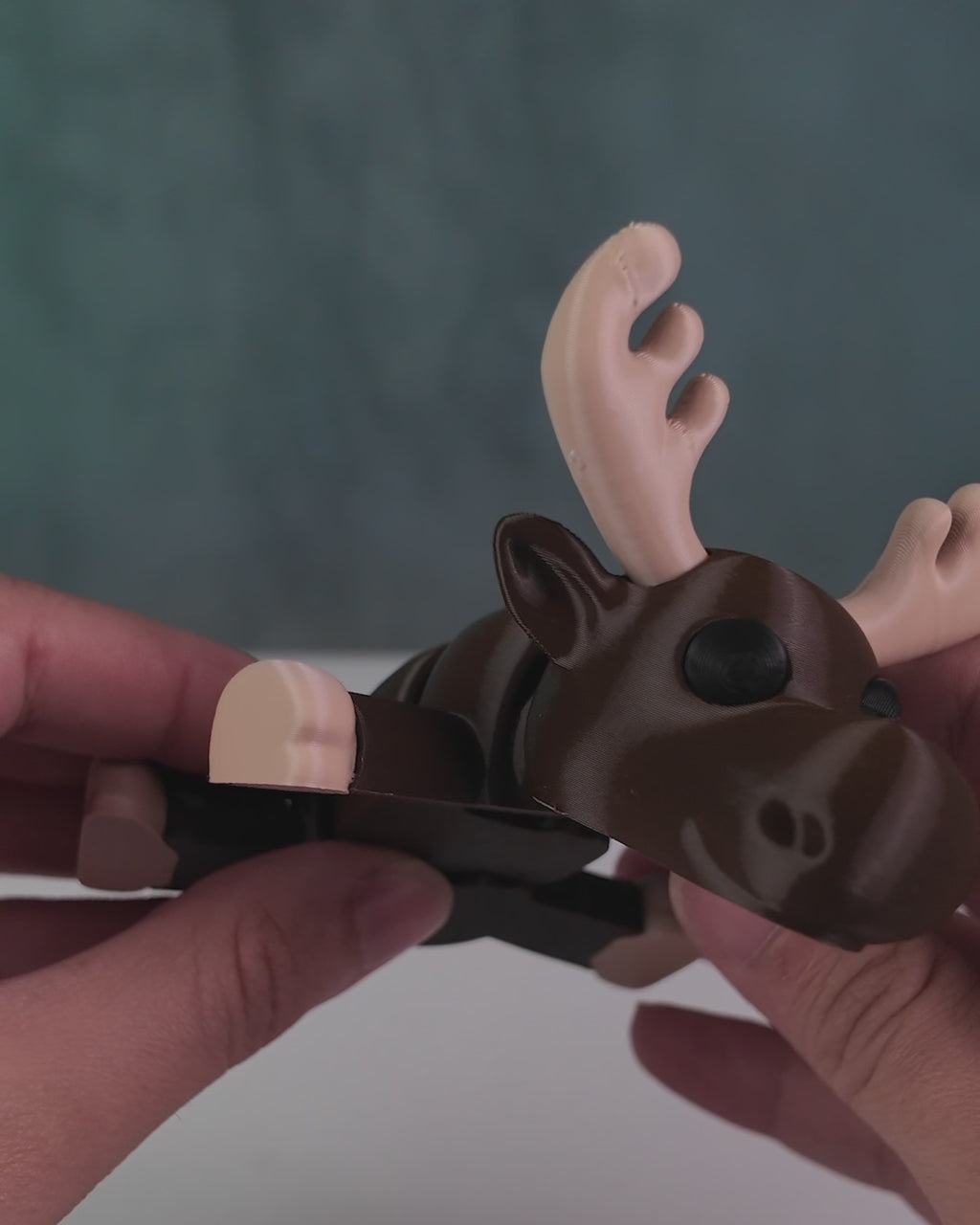 Moose Settle
