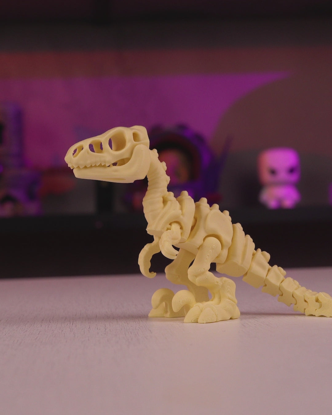 Skeleton Velociraptor