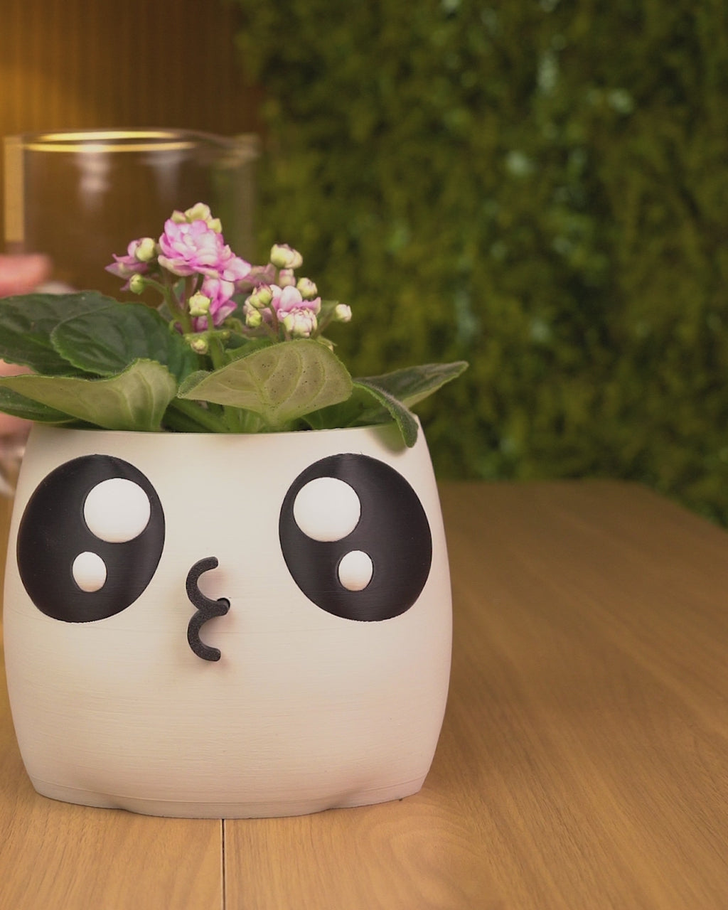 Bloop Face - Planter