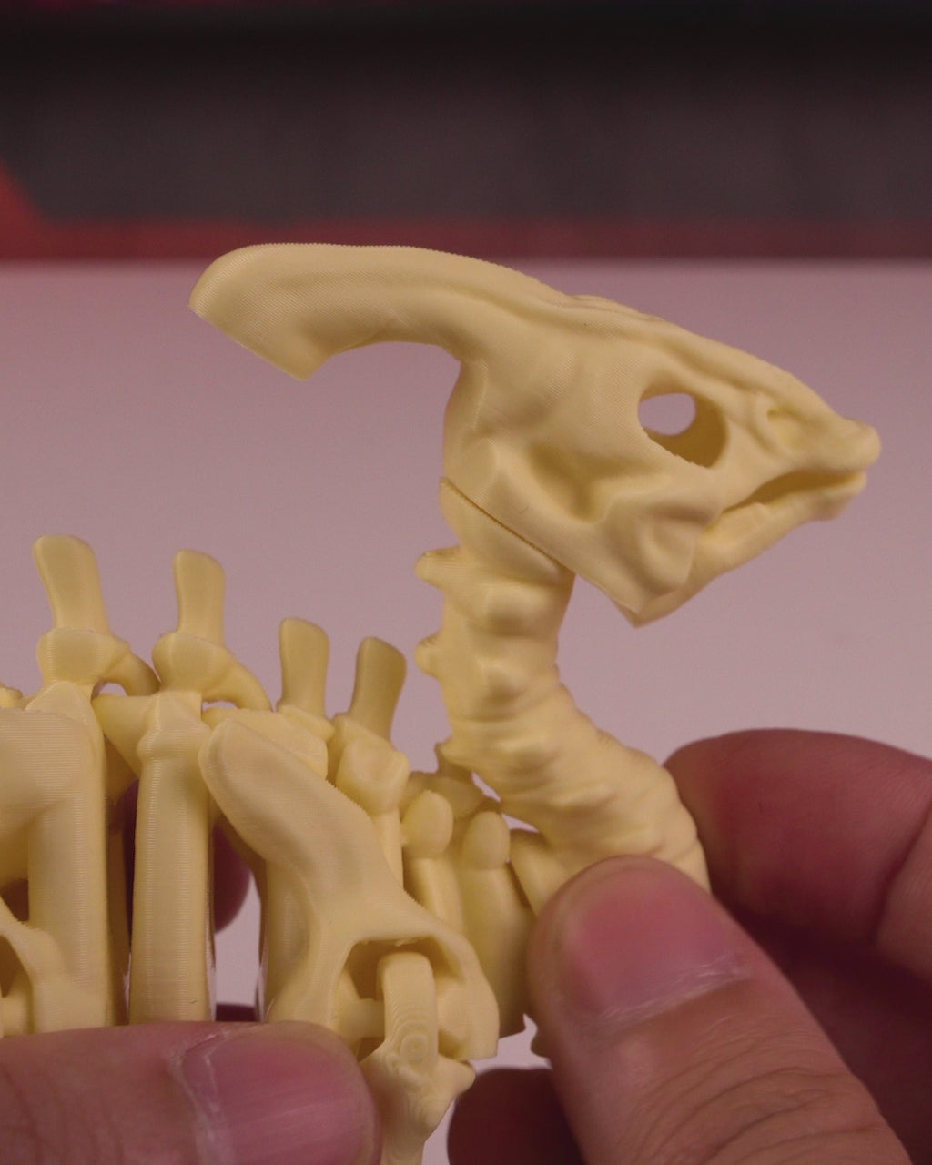 Skeleton Parasaurolophus