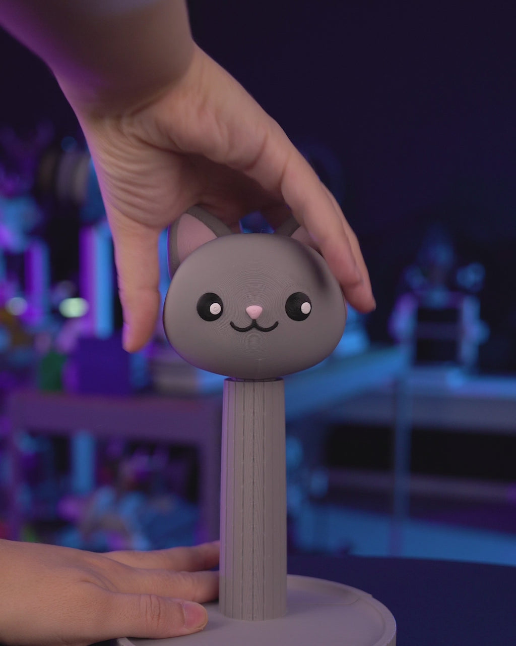 Whiskers