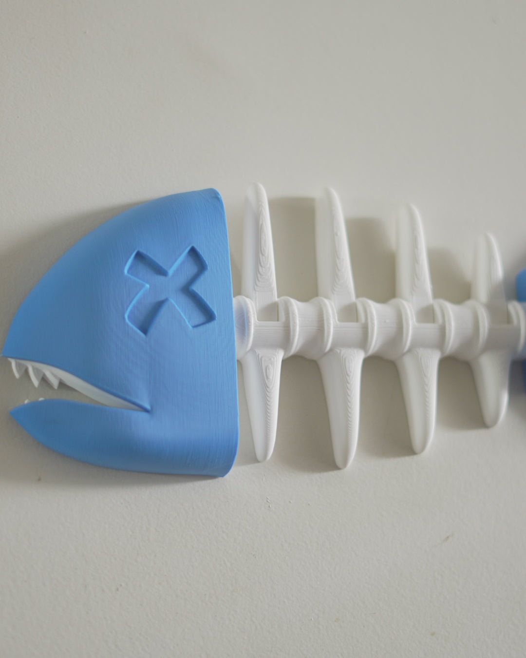 Catch of the Day - Key Holder