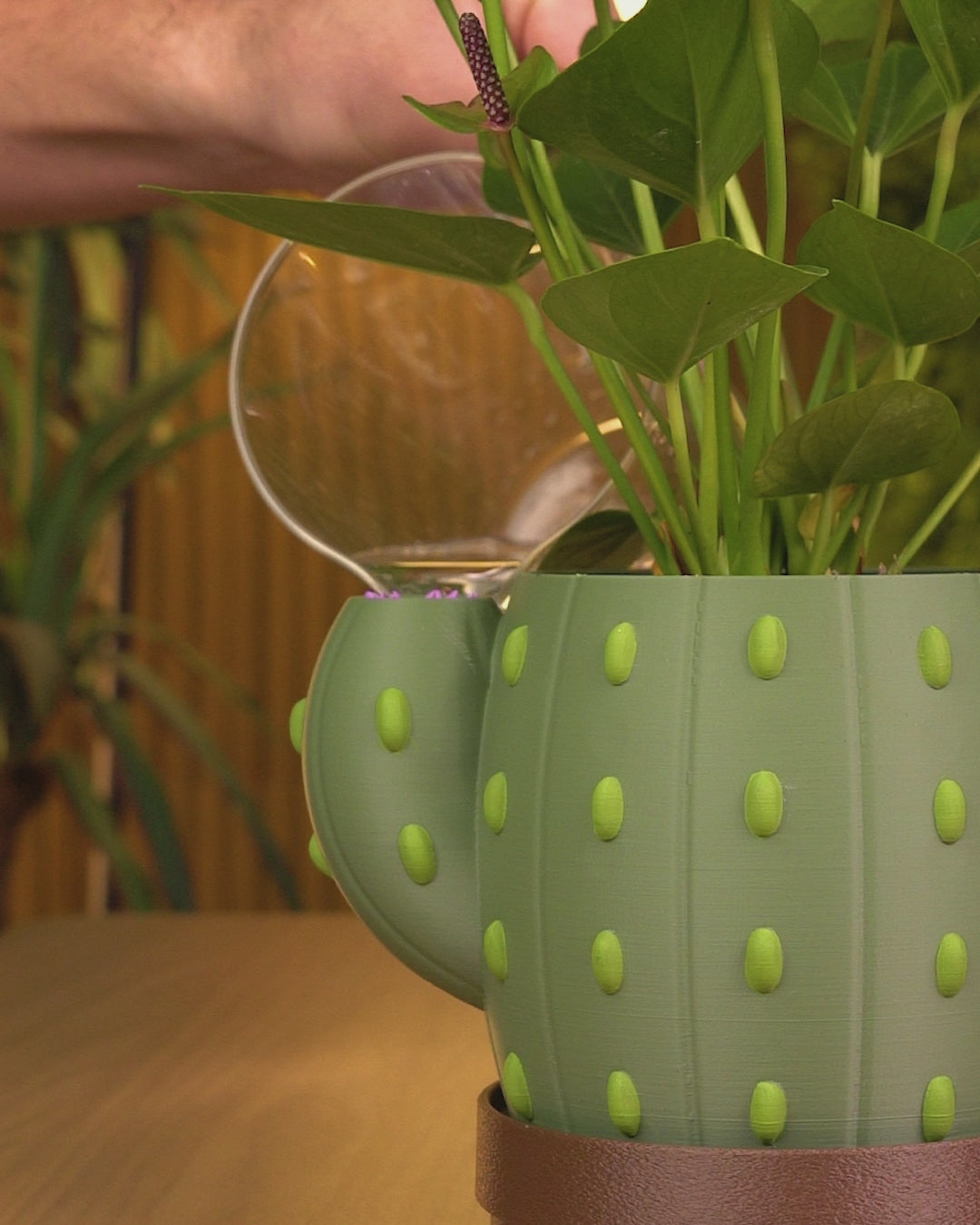 Bloom Signal - Planter